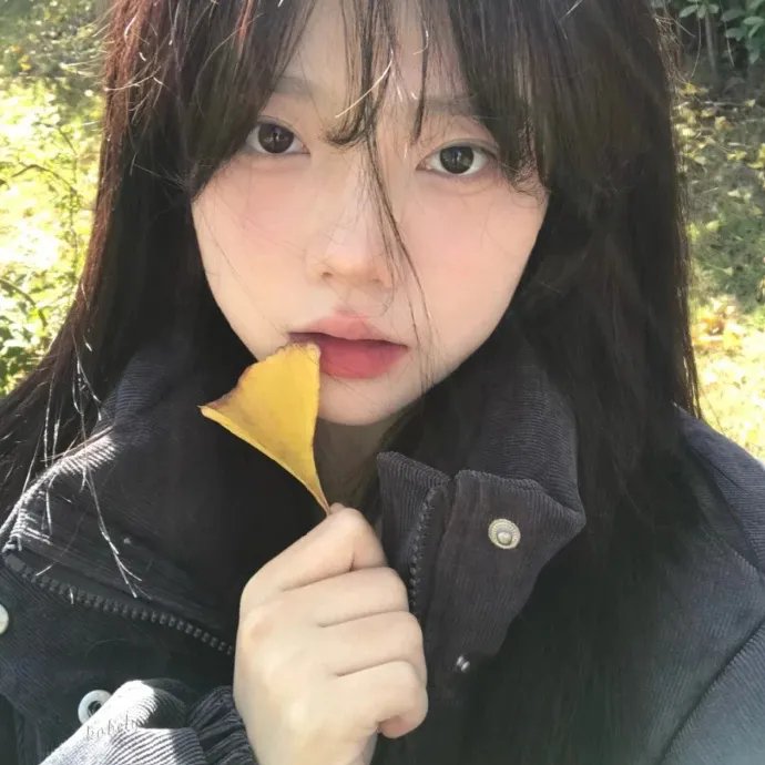 真爱至上国语